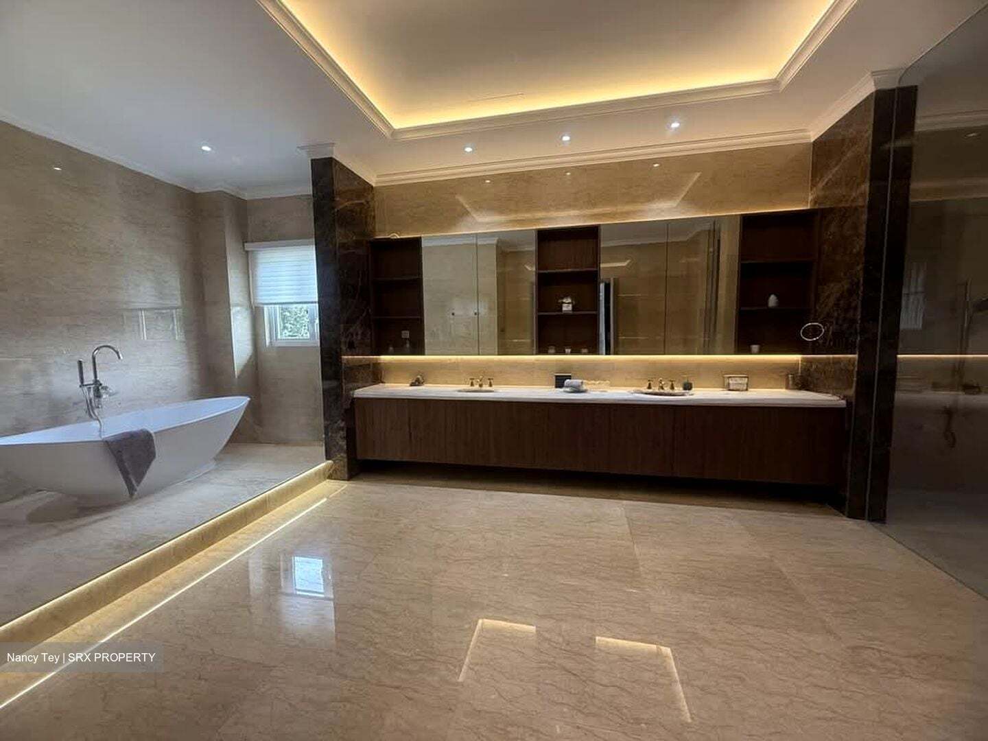 Tanglin Hill Villas (D10), Detached #579663131